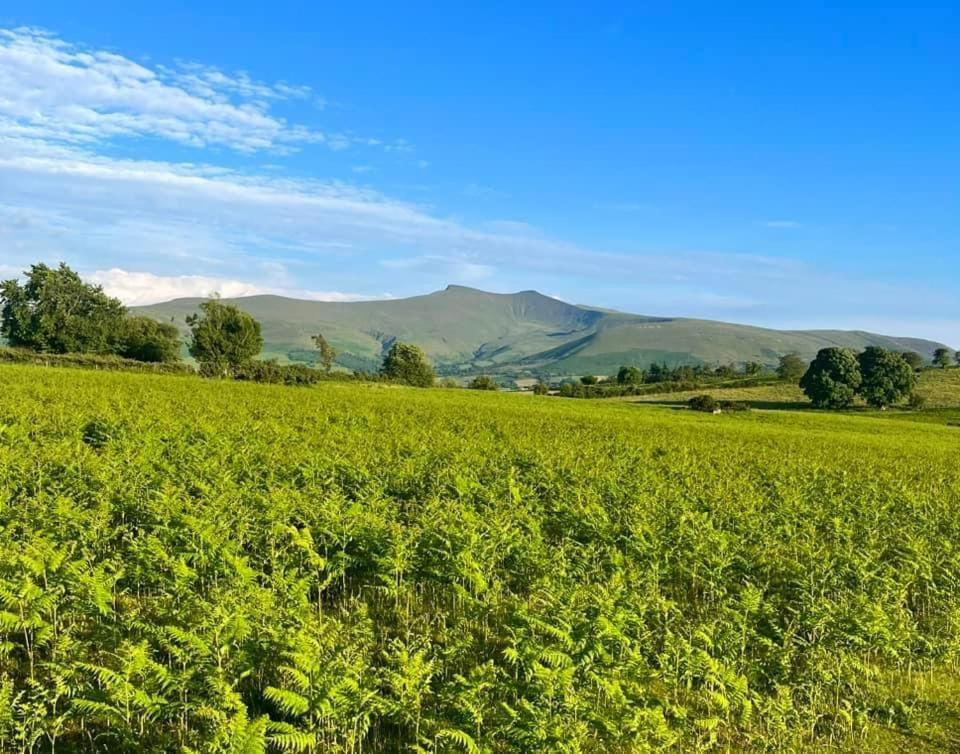 Little Cottage Of The Beacons Brecon Esterno foto