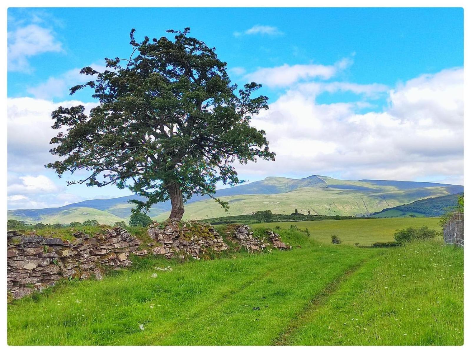 Little Cottage Of The Beacons Brecon Esterno foto